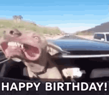 funny birthday gif for sister