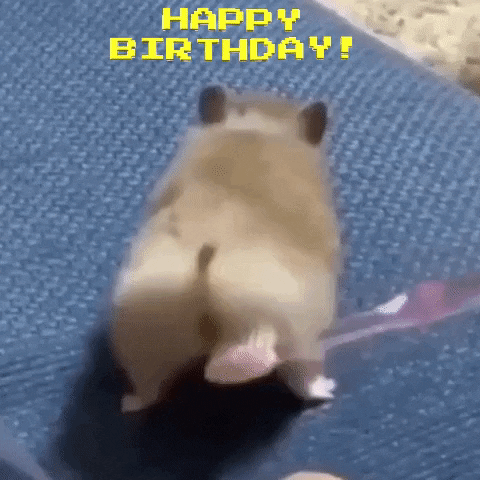 35+} Funny Happy Birthday GIF, Animated Images for Everyone