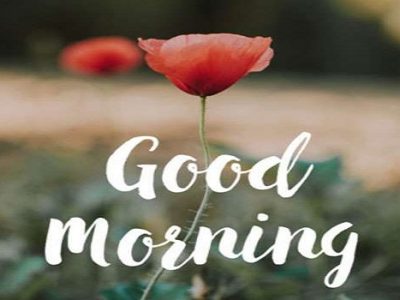 {100+} Good Morning Wishes, Messages, Quotes in Hindi | Status